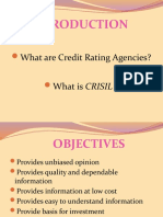 Understanding Credit Rating Agencies and Their Rating Process