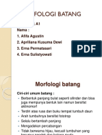 Morfologi Batang.. A1
