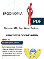 Principios Ergonomicos PDF