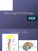 NeurologicalPathology 000