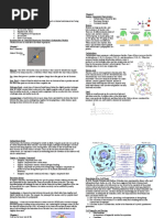 Bio Final Exam 1