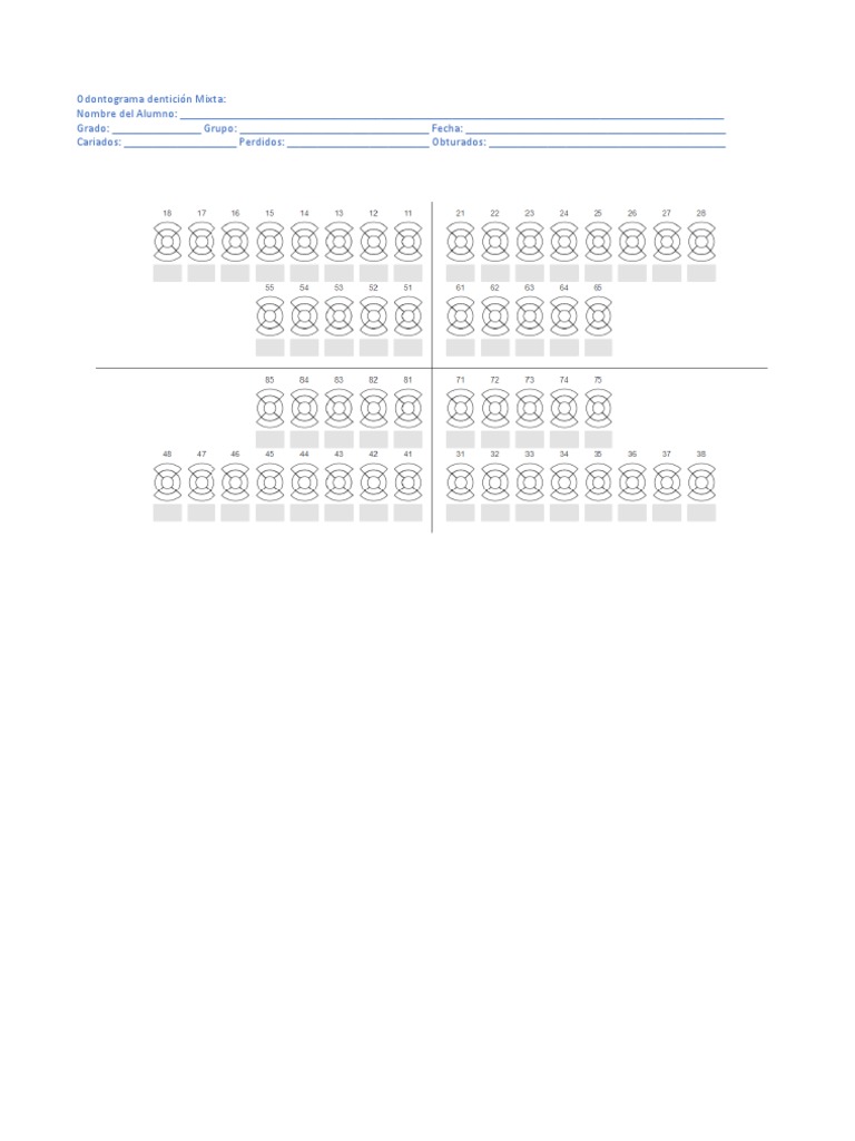 Odontograma Dentición Mixta | PDF