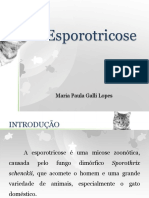 Esporotricose - Reunião Clinica