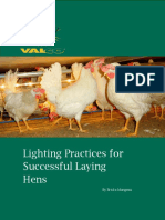 Lighting Practices For Successful Laying Hens PDF