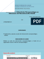 Clase 8.1 Nps. Rhb. Alteraciones en El Neurodesarrollo