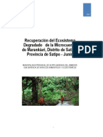 Pip Ecosistemas Prodefap 2
