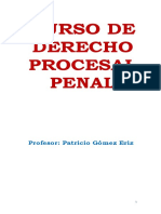 CURSO DE DERECHO PROCESAL PENAL Patricio Gamez