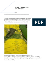 800-Foot-Long Pattern in U. K. Oilseed Rape - A Sigil Someone Wanted Destroyed?