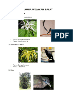 FLORA DAN FAUNA Per Provinsi