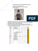 Procedimientos de Muestreo y Registro de Información en Calicatas