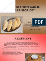 Proiect Branzoaice