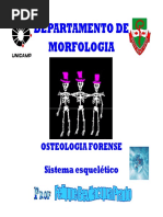 Osteologia Forense