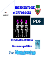 Osteologia Forense