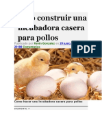 Como Construir Una Incubadora Casera para Pollos