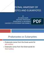 Functional Anatomy of Prokaryotes and Eukaryotes
