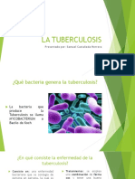 Tuberculosis: causas, síntomas y tratamiento