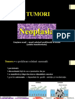 Curs 5 Tumori Epiteliale - 2019-2020