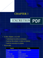 Chapter 3