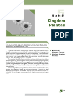 1 Plantae PDF