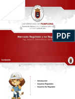 Mercado Regulado y No Regulado PDF