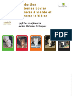 Crestere Bovine PDF