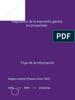 4regulacion de La Expresión Genica en Procariotas PDF