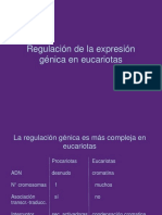 7regulacion Posttranscripcional PDF