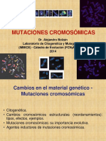 9cambios Cromosomicos Estructurales PDF
