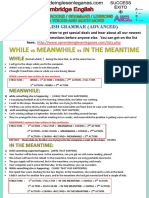 While, Meanwhile & in The Meantime PDF