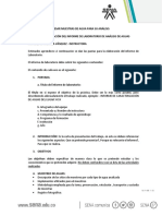 Pautas para Informe de Laboratorio