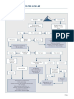 Traumatismo Ocular PDF