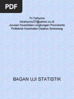 Download Statistik Bagan Uji Statistik by Tri Cahyono SN44942457 doc pdf
