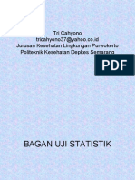 Statistik Bagan Uji Statistik