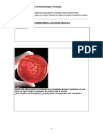 Informe 3 Streptococcus