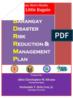 Barangay-Disaster-Risk-Reduction-Management-Plan.pdf