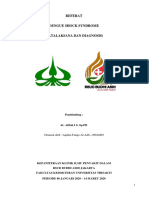Referat DSS PDF