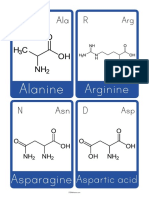Amino Acid Flashcards