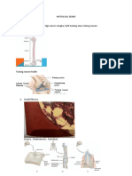 Histologi Sendi