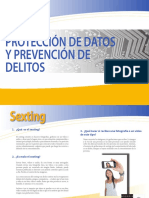 Fichas Proteccion Datos y Prevencion de Delitos PDF