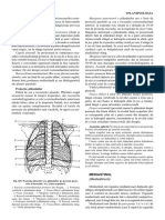 Anatomia Chirurgicala A Mediastinului