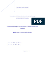 12modelo Trabajo Comunitario Integrado PDF