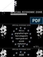 Social Economic Zone