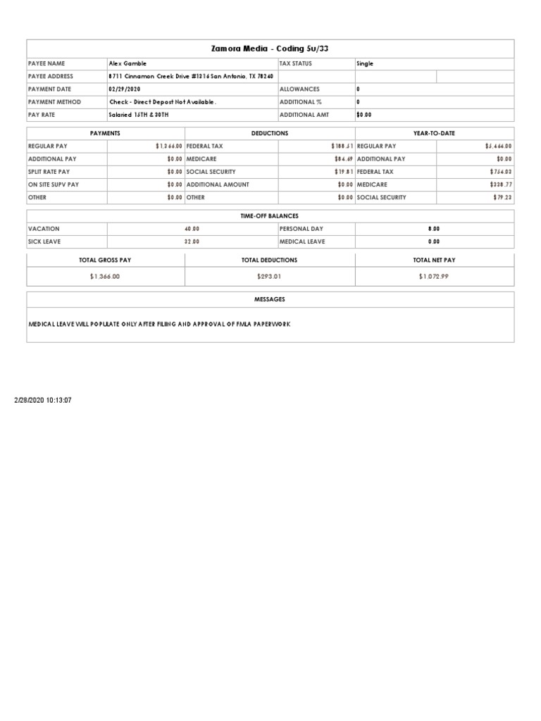 Amazon Pay Stub Template Overview | PDF