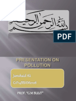 Presentation On Pollution