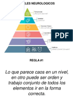 Niveles Neurologicos