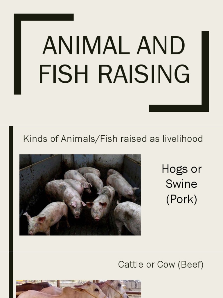 Animal and Fish Raising | PDF