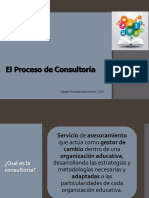proceso_de_consultoria_2019