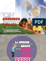 La gracia y el grupo d elos 12 pasos (1).pptx