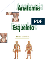 Esqueleto-Anatomia