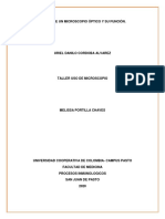 Partes de Un Microscopio Óptico